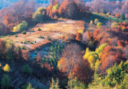 hotel kilkis hotel victoria hunting 11